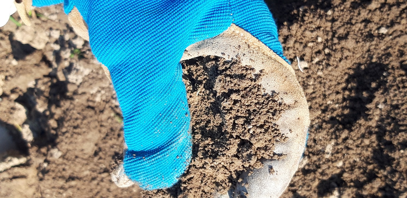Maulwurfserde ist auch für Zimmerpflanzen geeignet.